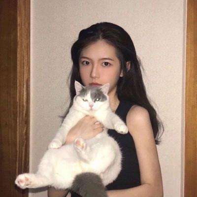 万物英雄九游版下载